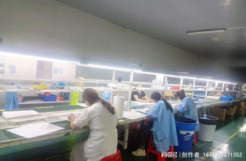 凰岗镇电子厂, 女性就业的庇护所